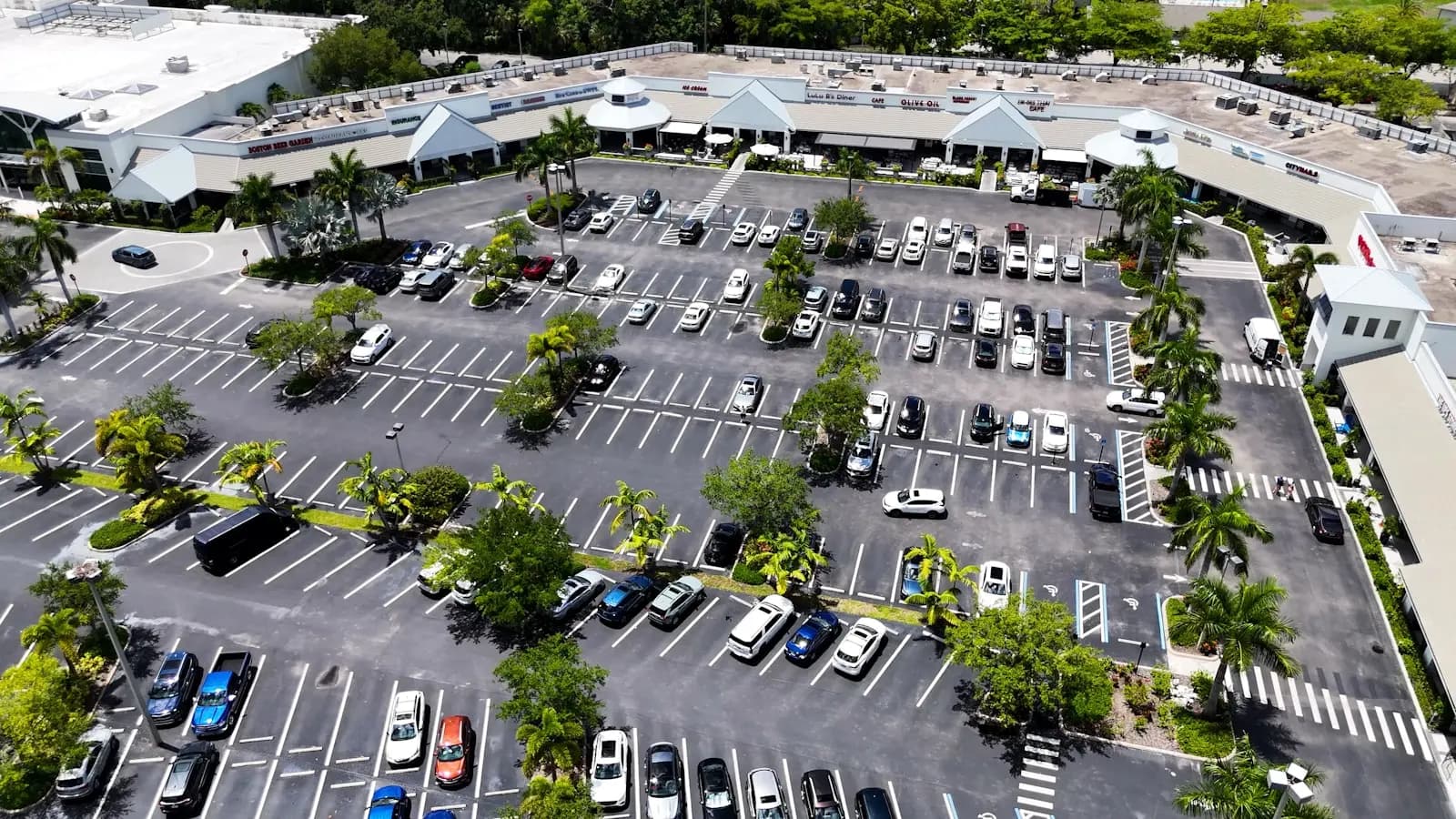 Havadan bir alışveriş merkezi otoparkı; sıra sıra park etmiş araçlar ve aralarındaki palmiyeler.