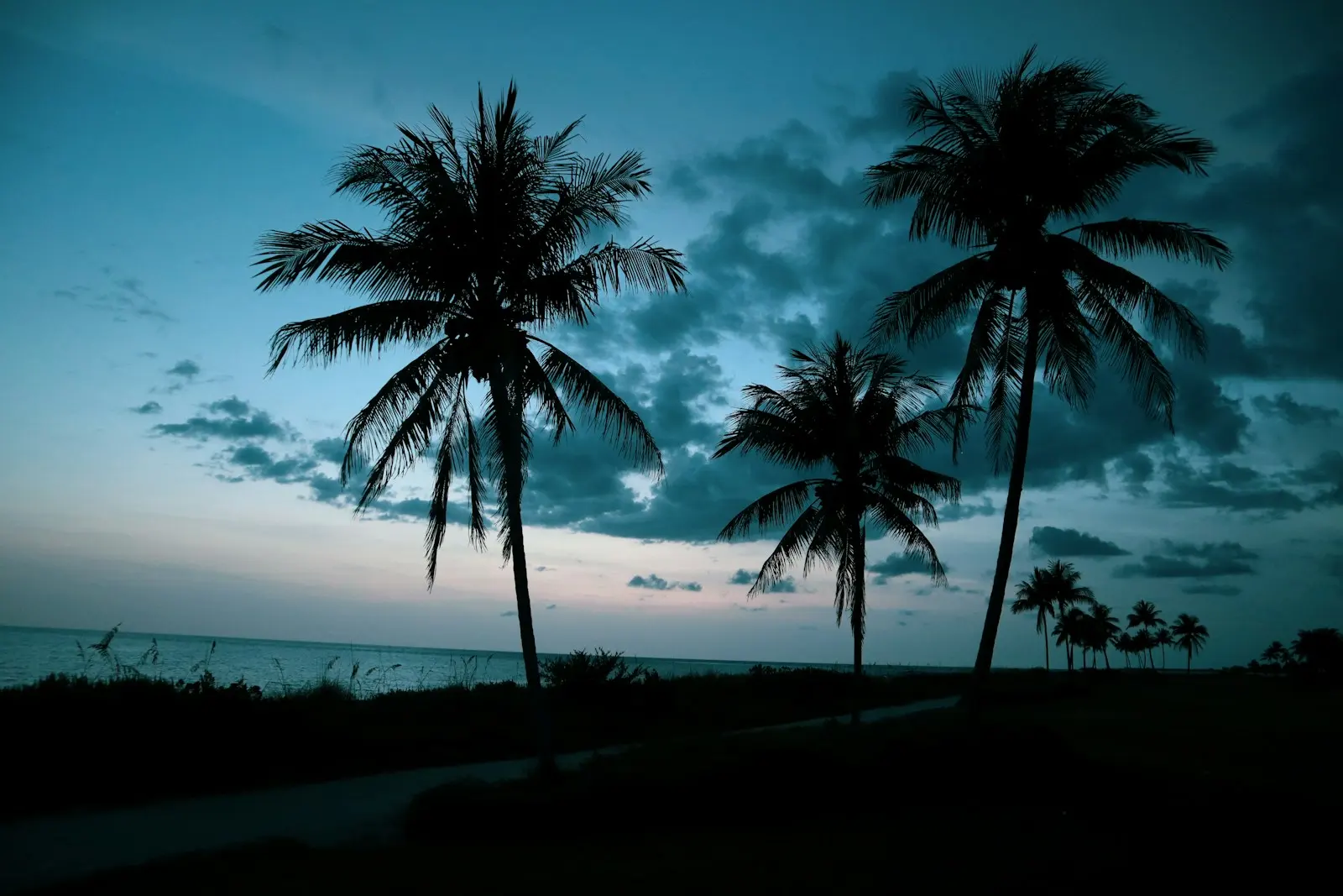 Captiva Island’da alacakaranlıkta palmiye siluetleri ve denizin üstünü kaplayan koyu bulutlar.